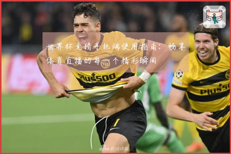 世界杯竞猜手机端使用指南：畅享体育直播的每一个精彩瞬间