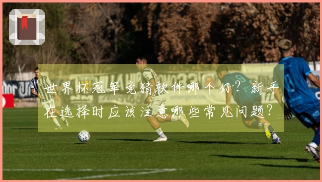 世界杯冠军竞猜软件哪个好?新手在选择时应该注意哪些常见问题?