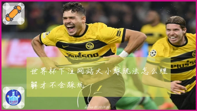世界杯下注网站大小球玩法怎么理解才不会踩坑