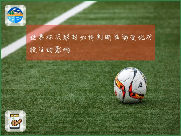 世界杯买球时如何判断临场变化对投注的影响