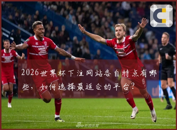2026世界杯下注网站各自特点有哪些，如何选择最适合的平台？