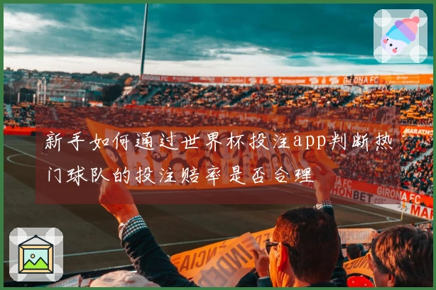 新手如何通过世界杯投注app判断热门球队的投注赔率是否合理