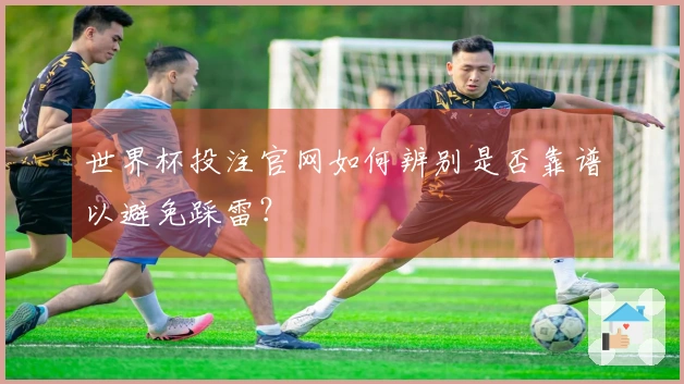 世界杯投注官网如何辨别是否靠谱以避免踩雷？