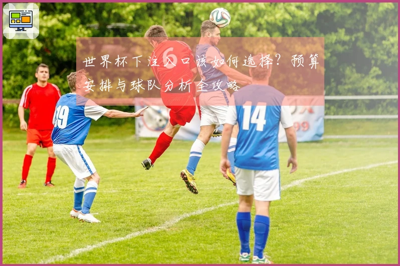 世界杯下注入口该如何选择?预算安排与球队分析全攻略