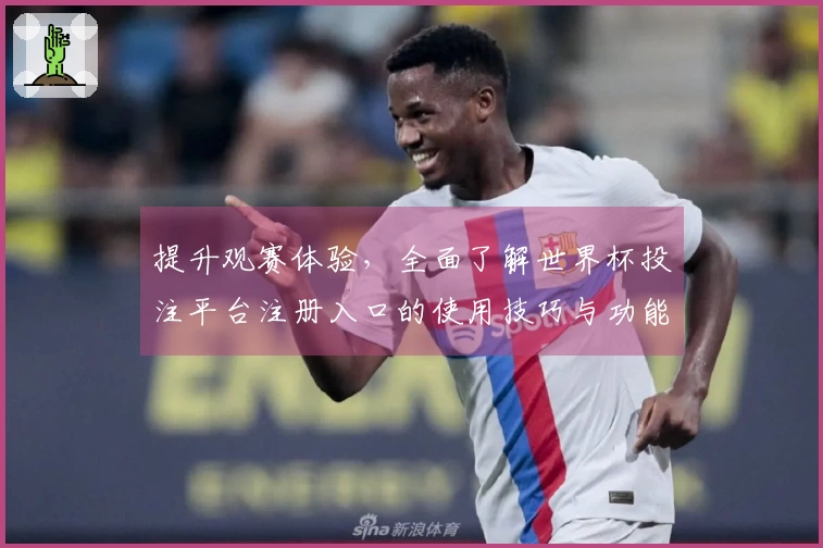 提升观赛体验，全面了解世界杯投注平台注册入口的使用技巧与功能介绍