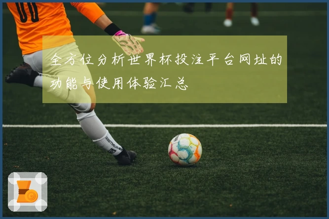 全方位分析世界杯投注平台网址的功能与使用体验汇总