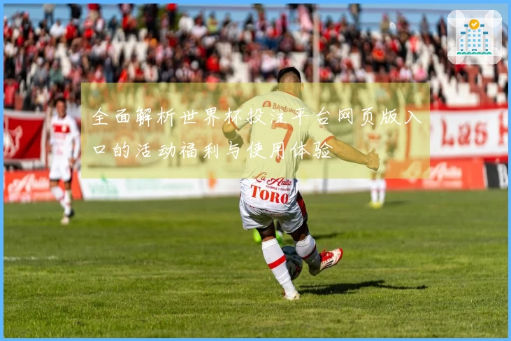 全面解析世界杯投注平台网页版入口的活动福利与使用体验