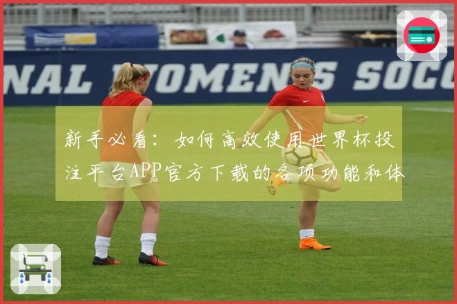 新手必看：如何高效使用世界杯投注平台APP官方下载的各项功能和体验分享