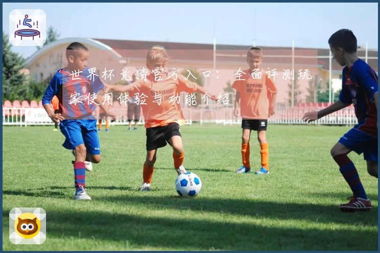 世界杯竞猜官方入口：全面评测玩家使用体验与功能介绍
