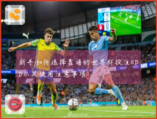 新手如何选择靠谱的世界杯投注app以及使用注意事项