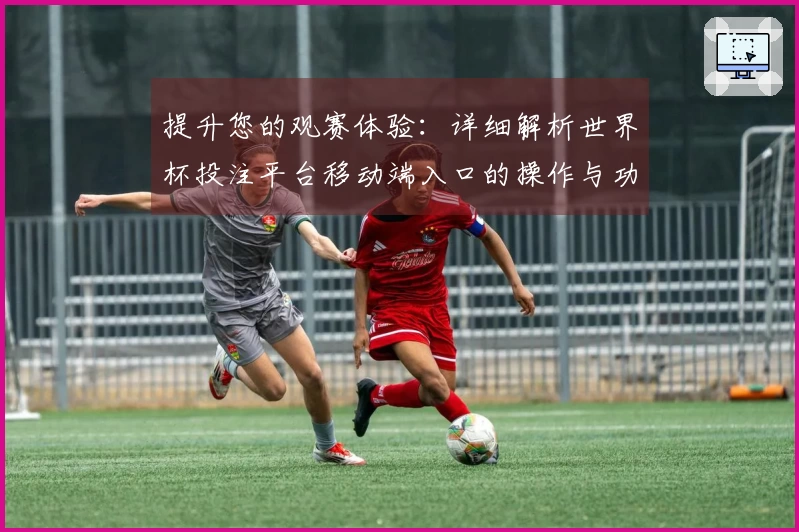 提升您的观赛体验：详细解析世界杯投注平台移动端入口的操作与功能