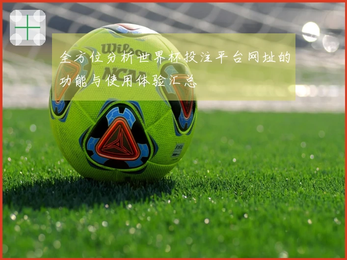 全方位分析世界杯投注平台网址的功能与使用体验汇总
