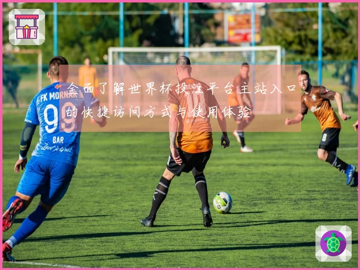 全面了解世界杯投注平台主站入口的快捷访问方式与使用体验