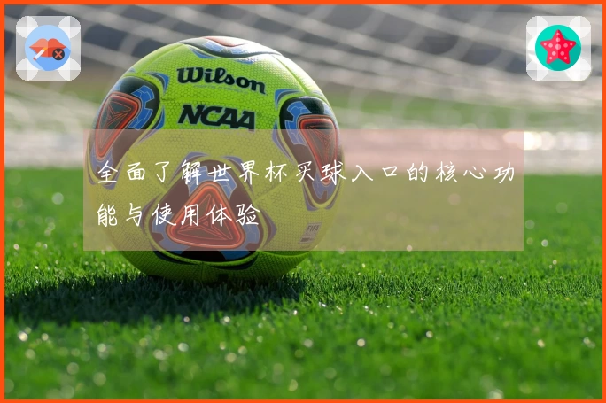 全面了解世界杯买球入口的核心功能与使用体验
