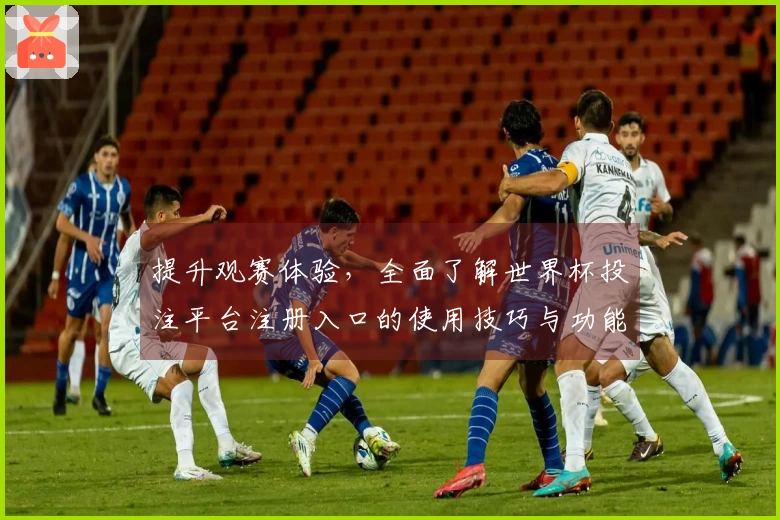 提升观赛体验,全面了解世界杯投注平台注册入口的使用技巧与功能介绍