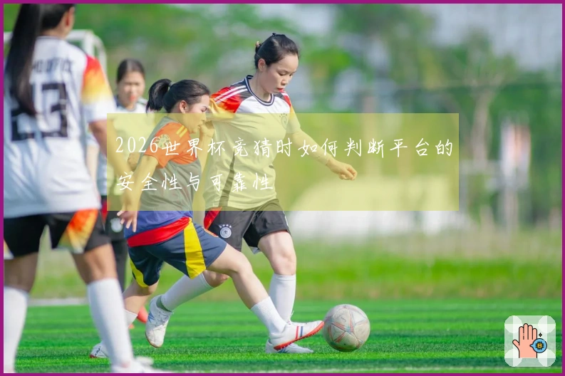 2026世界杯竞猜时如何判断平台的安全性与可靠性