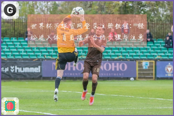 世界杯买球官网登录注册教程：轻松进入体育直播平台的步骤与注意事项
