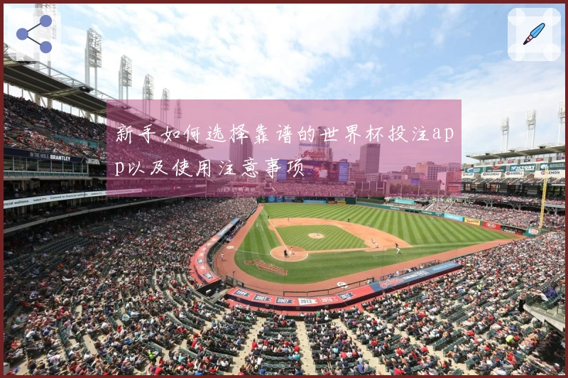 新手如何选择靠谱的世界杯投注app以及使用注意事项
