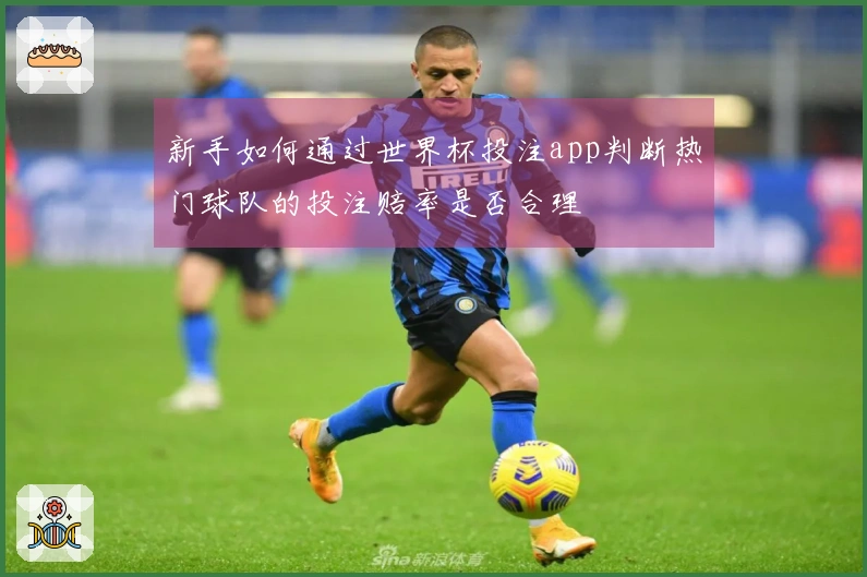 新手如何通过世界杯投注app判断热门球队的投注赔率是否合理