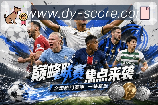 回放集锦与专题内容